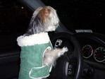 Супер driver