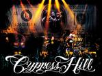 cypress9