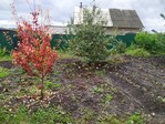 IMG_20220924_122213