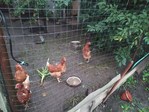 IMG_20230801_044446