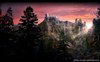 art_img (2)