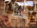 S.T.A.L.K.E.R. (39)