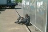 Фуражку прально положил))Милостыню просит сцукО)