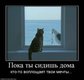 x_c997c5c6