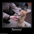 x_fbd533aa