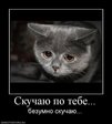 x_9f94a2d6