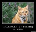 x_5060c647