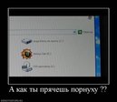 x_bdcb4929