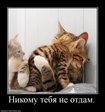 x_f2da68e8
