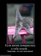 x_7c8cf583