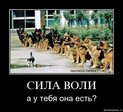 x_e14b9480