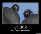 x_213e9557