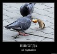 x_057d4c88