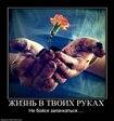 x_24e99568