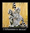 x_cc3c9097