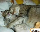 img_2120927_14_0