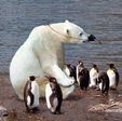 img_2062831_131_0