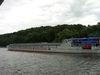 IMGP3944