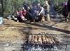 Шашлычки))