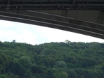 IMGP3945