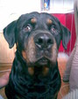 Bild017