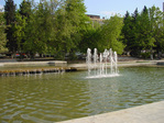 DSC00520
