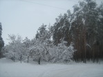 IMG_1757