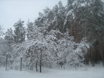 IMG_1760