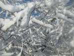 IMG_1753