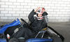 image (1)