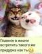 FB_IMG_1599722658516