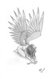 Crying Angel