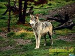 0_1dfe_536605c9_XL