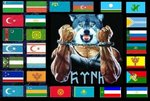 Тюркские республики