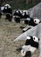 собралась команда в пещеру)
