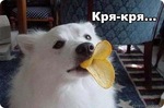 утко)