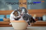 где тут переход из комнаты новичков?)