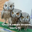 ваши животные нуждаются в еде...)