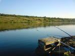 DSC00020
