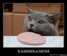 kudgyusn0ysa