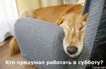 НЕ РАБОЧАЯ СУБОТА