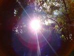 x_d75bb231