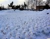 Ледяная пещера