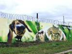 graffiti_014