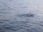 s2007_07