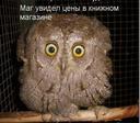 Маг в книжном магазине