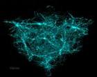 images[3]