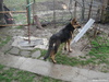 Боевая стоечка:)