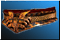 zakl_belt