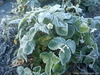 DSC00188